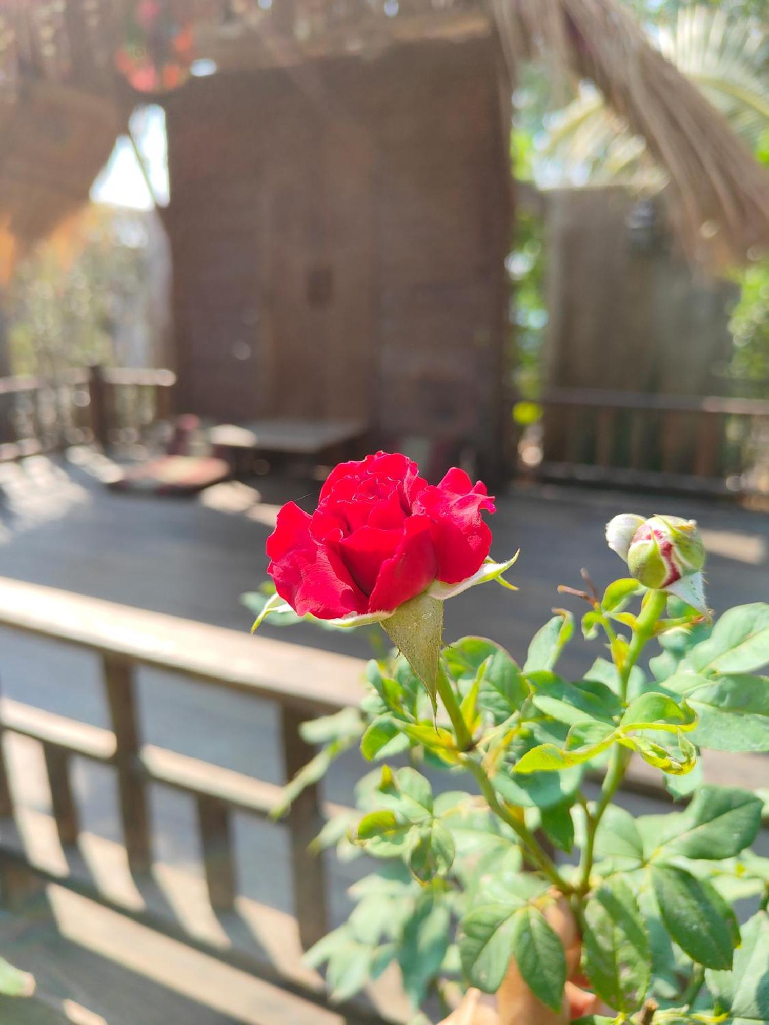 Smilingface Guesthouse Sukhothai Bagian luar foto