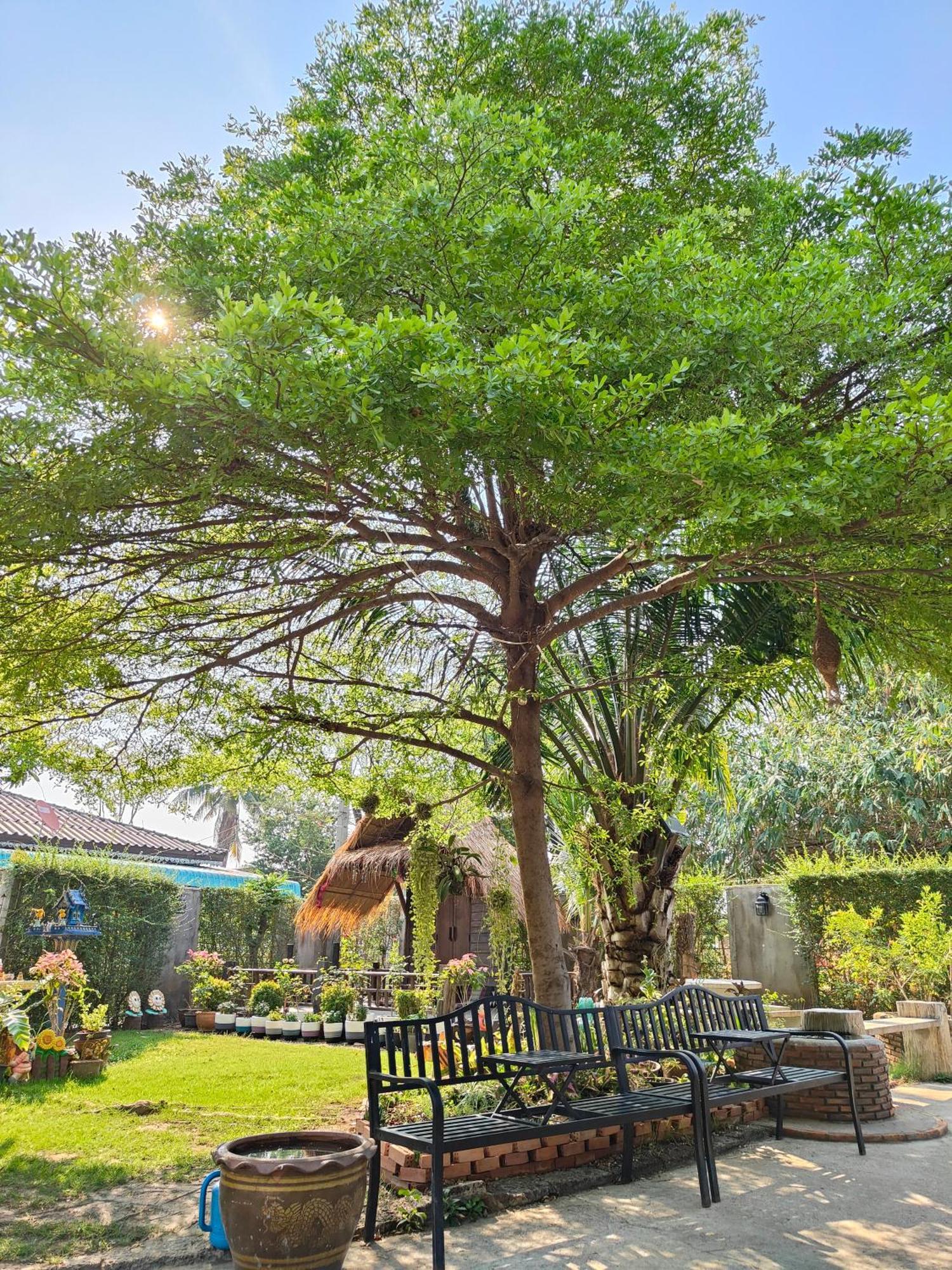 Smilingface Guesthouse Sukhothai Bagian luar foto