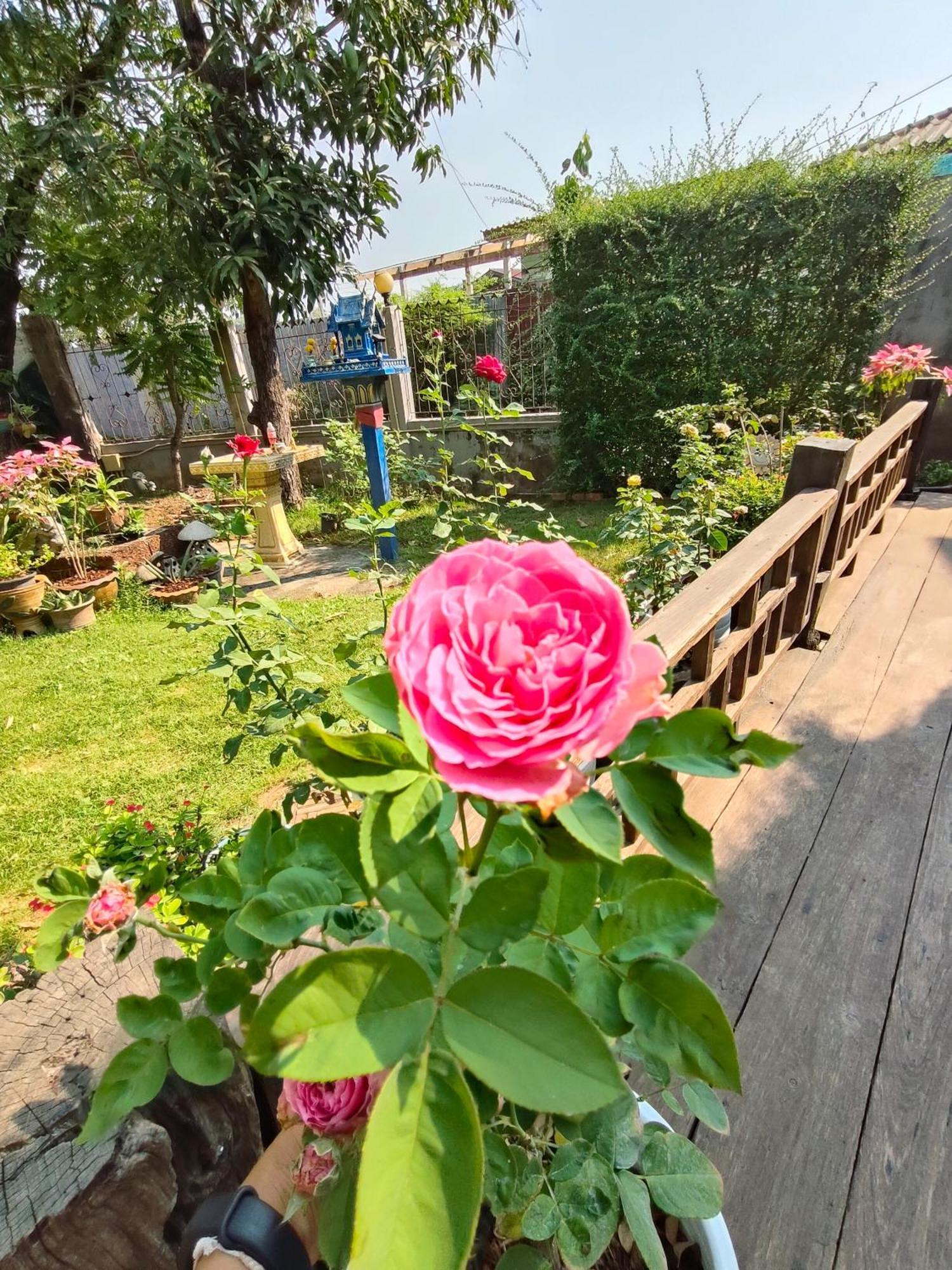 Smilingface Guesthouse Sukhothai Bagian luar foto